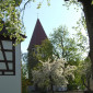 Fr&uuml;hling